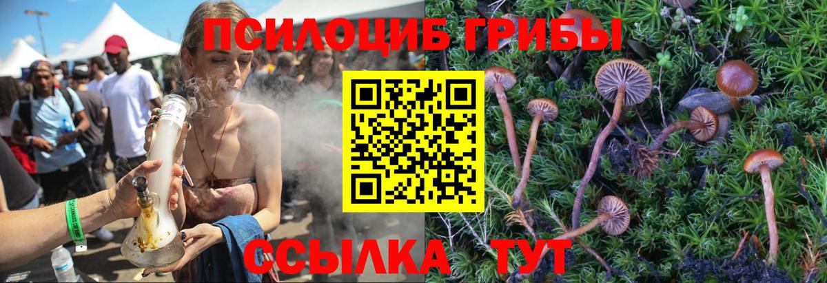 Родники  Псилоцибиновые грибы прущие грибы  Галлюциногенные грибы мицелий  Вход с VPN 