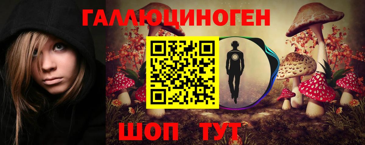 Псилоцибиновые грибы GOLDEN TEACHER Родники